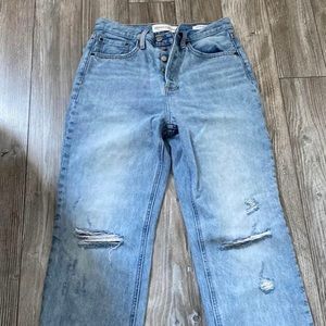 Aritzia The Joni High Rise Loose Jeans 29L